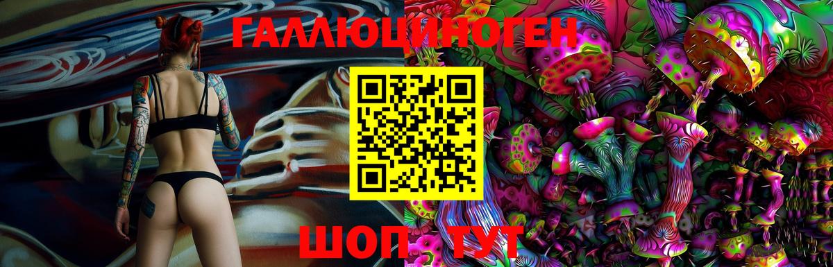 Псилоцибиновые грибы Cubensis Сосновоборск