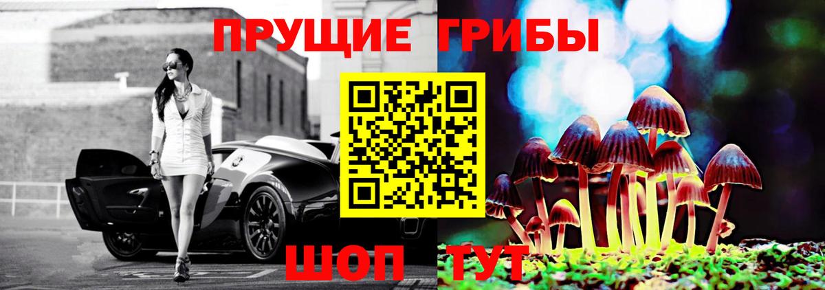закладки  Псилоцибиновые грибы Cubensis  Псилоцибиновые грибы мухоморы  Вход с VPN  Сосновоборск 