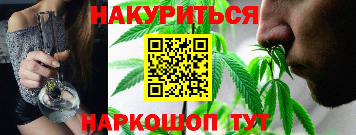Бошки марихуана конопля Сосновоборск